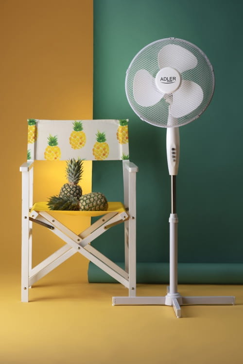 ad_7305_5.jpg
