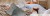 8bb1d7934a4a9d17091ef4de829d