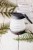av_1384_5.jpg