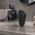ad_2959_14.jpg