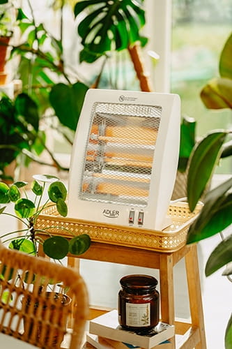 3667755449d386253b4a497da28e